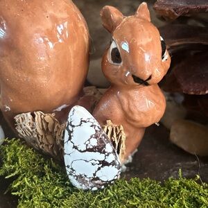 Beautiful wild horse turquoise cabachon